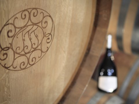 chateau dollieres 7